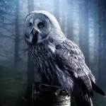 Escape room - Der Zauberer