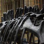 Museum Heist