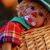 Lost Teddy