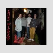 Profesjonalnie wykonany pokój