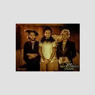 Seria Niefortunnych Zagadek