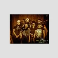 Seria Niefortunnych Zagadek