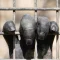 Escape room - Planet of the Apes
