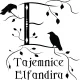 Escape room - Tajemnice Elfandiru
