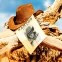 Escape room - Western Dziki Saloon