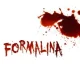 Escape room - Formalina