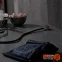 Úniková hra - Das Experiment des Dr. Romanov