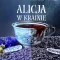 Escape Room - Alicja w krainie czarów