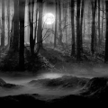 Escape room W Gęstwinie Morderczych Umysłów