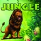 Ескейп стая - Jungle - Jumanji