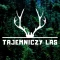 Escape room - Mysterious forest