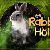 The Rabbit Hole