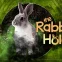 Escape Room - The Rabbit Hole