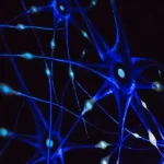 Escape room - Illusional Mind