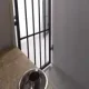 Úniková hra - Prison Break