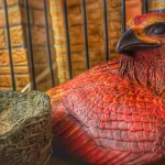 Úniková miestnosť - Muggle