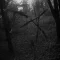 Escape room - Las Samobójców