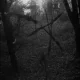 Úniková miestnosť - Las Samobójców