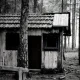 Escape room - Domek na Skraju Lasu
