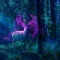Úniková miestnosť - Magiczny Las