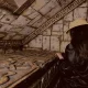Escape room - Jumanji Jungle