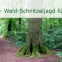 Ескейп стая - AQUA - Die Wald-Schnitzeljagd für Kinder
