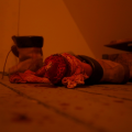 Escape room Sanitariusz