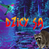 Dzicy Są