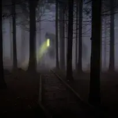 Das Haus im Wald