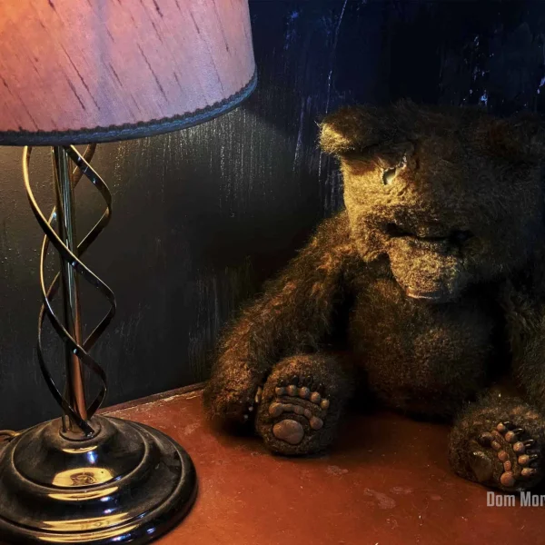 Снимка на стаята