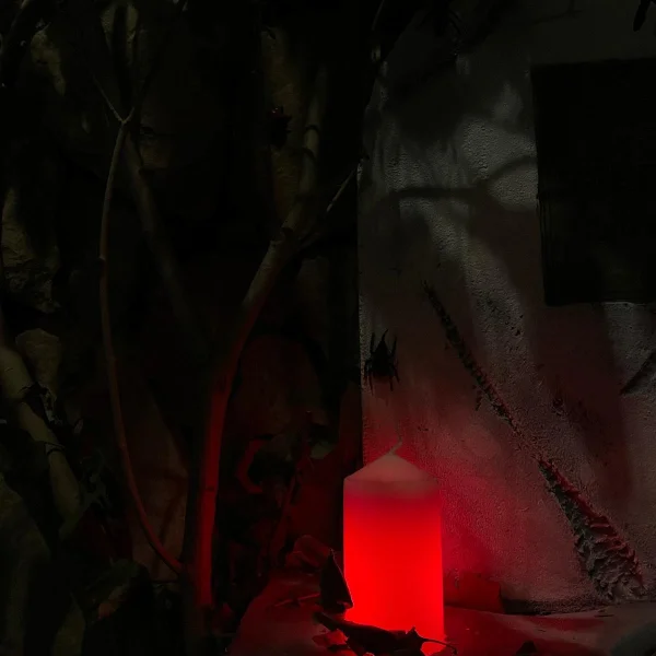 Фотографія кімнати