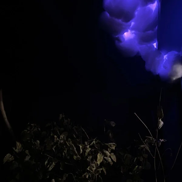 Фотографія кімнати