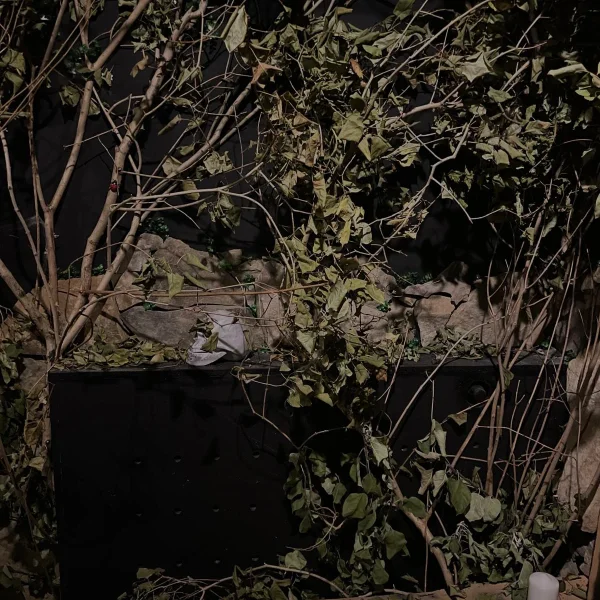 Фотографія кімнати