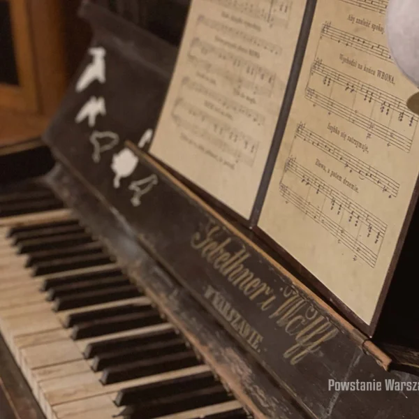 Black Cat escape room opinie