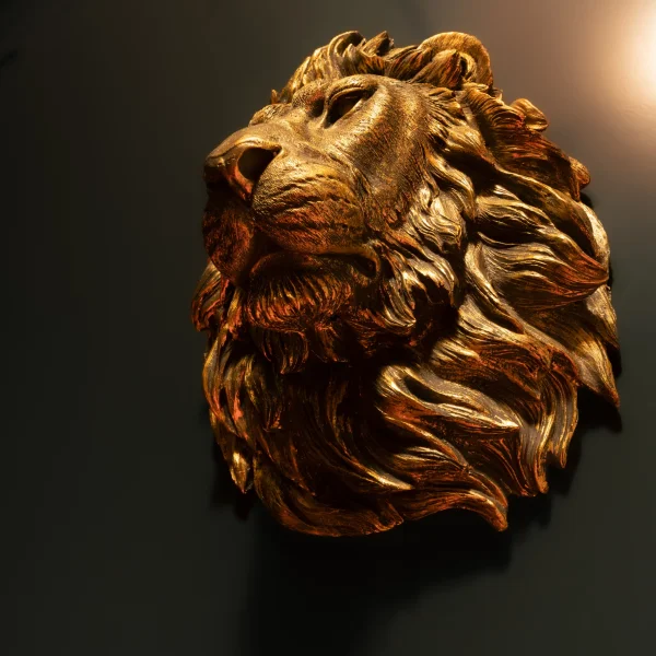 Фотографія кімнати