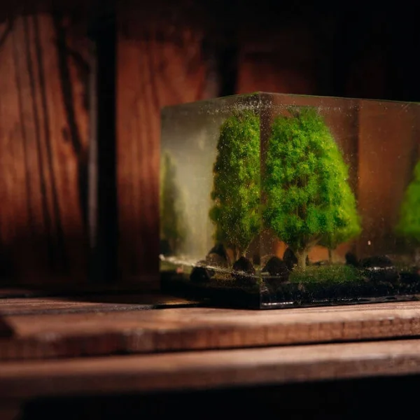 Escape room Rzeszów Hetmańska