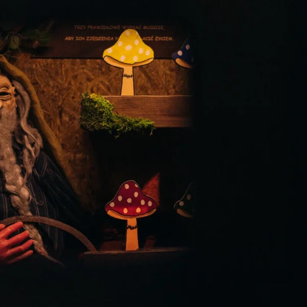 Escape room Rzeszów hetmańska