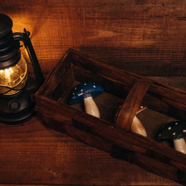 Rzeszów szlak nieumarłych