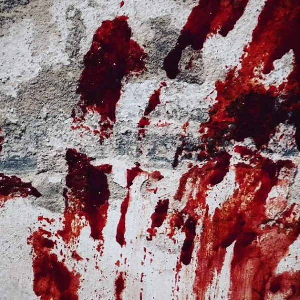 Фотографія кімнати