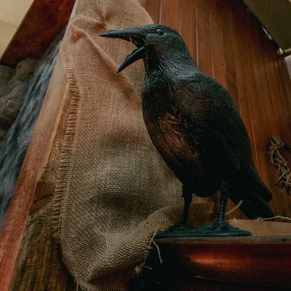 Фотографія кімнати