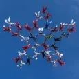 Zuzia F.