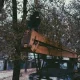 oleg.dovgiy.99 1