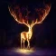 MidnightDeer