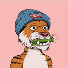 iwankuz