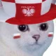 baranskigames14