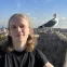 kondvideos