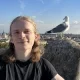 kondvideos