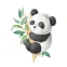 Pandaaaa