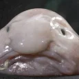 tw00jstarypijany