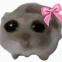 mvrtyna_
